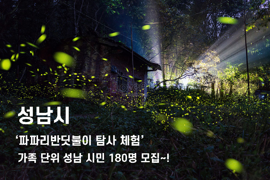 파파리반딧불이 880.jpg