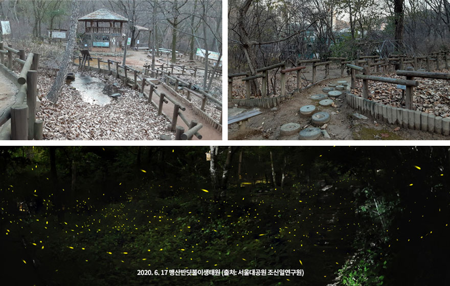 반딧불이 생태원 880.jpg