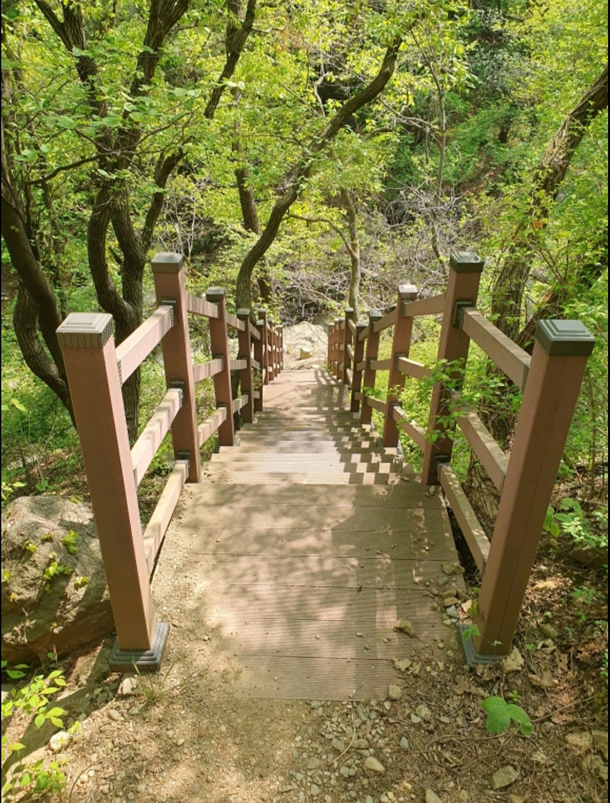 녹지과-성남누비길-청계산 신선대 등산로.jpg