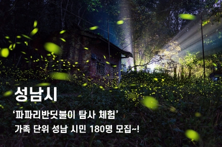 성남시 ‘파파리반딧불이 탐사 체험’ 가족 단위 성남시민 180명 모집